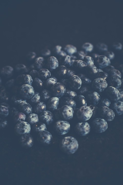 close up photography of pile of blueberries