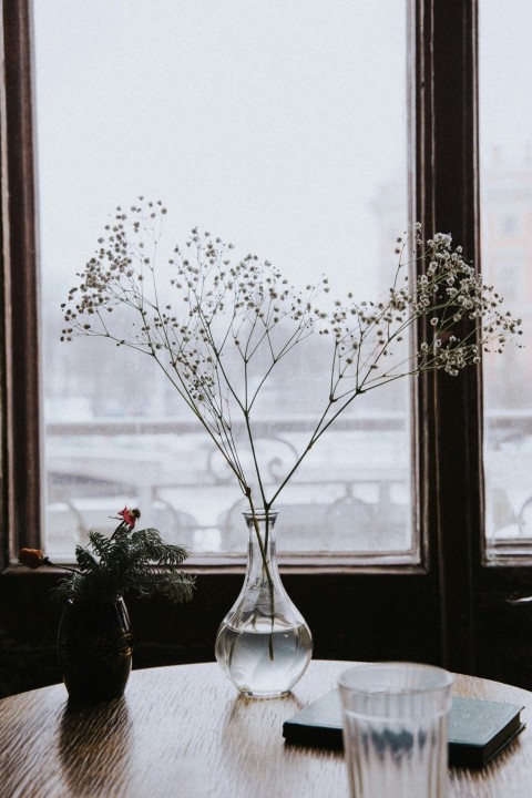 white flower in clear glass vase cJzL