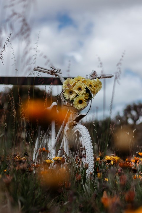 a bicycle with a bunch of flowers on it tZ1uIA