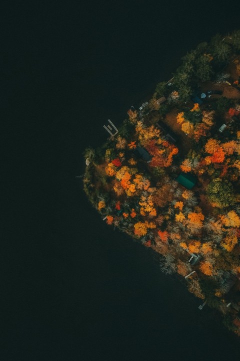 an aerial view of a tree covered island at night