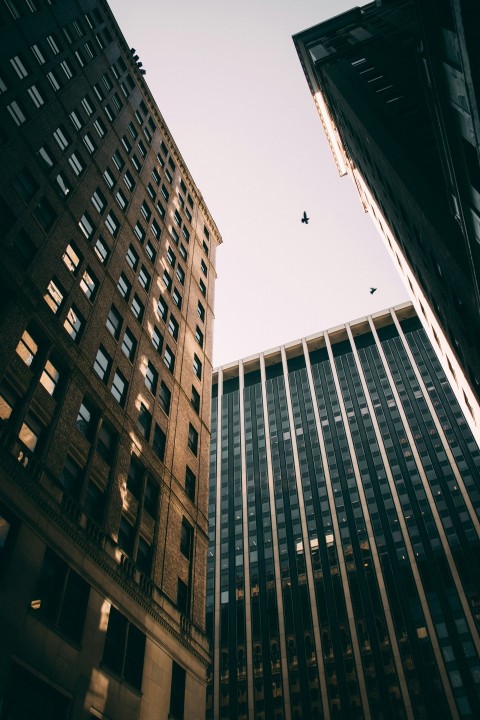 low angle photography of concrete buildings