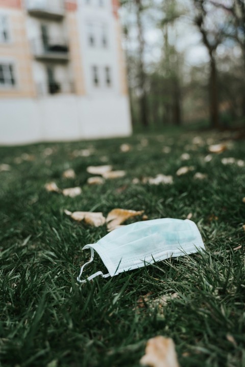 white textile on green grass during daytime