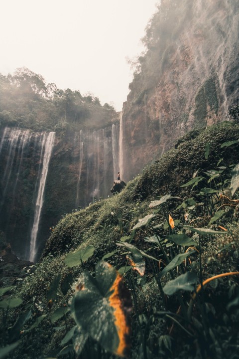 water falls in the middle of the forest