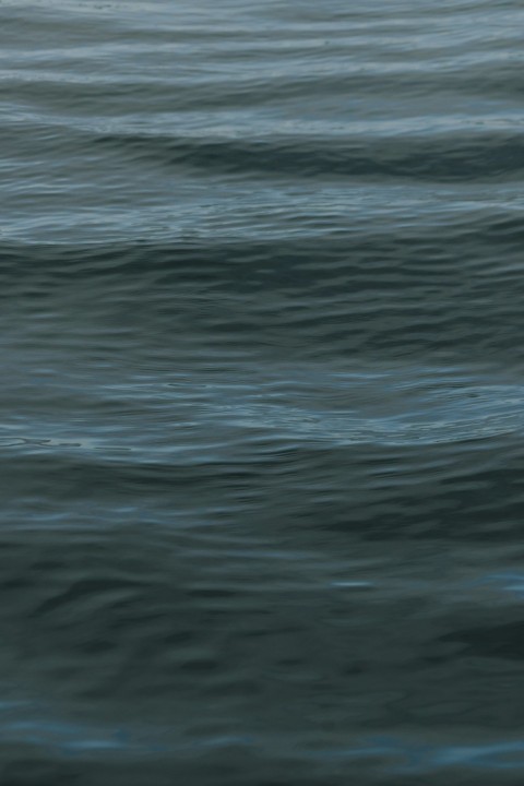 wavy body of water during daytime