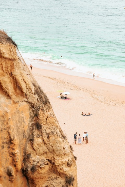 people on a beach