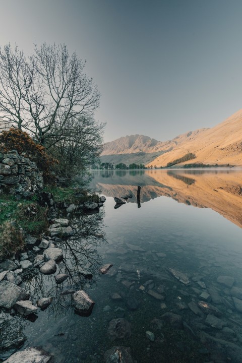 a lake with rocks and trees