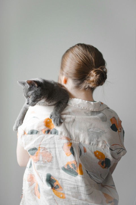 girl in white and orange floral dress hugging gray cat VZDc63