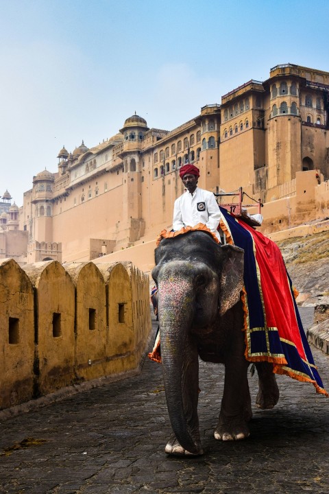 a man riding on the back of an elephant