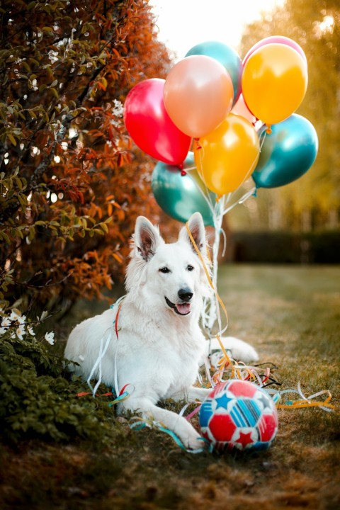 white short coated dog sitting on brown dried leaves