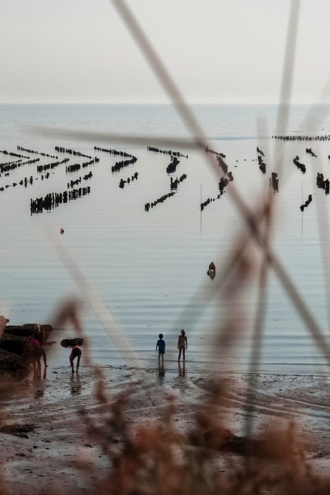 two person standing on seashore a