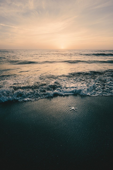 sea waves crashing on shore during daytime PKM