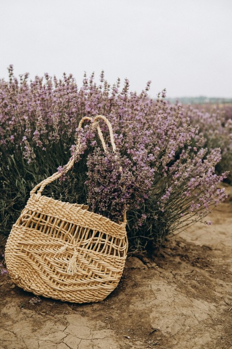 brown woven basket on brown sand