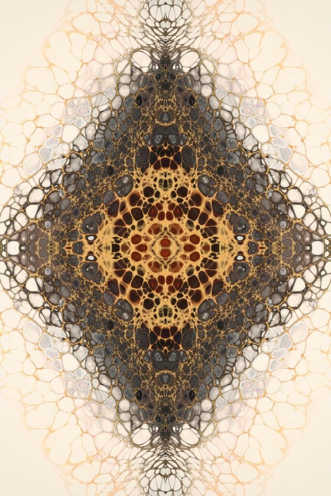 a picture of an intricate design on a wall