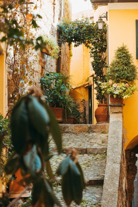 a narrow alleyway with potted plants on either side eera3yOxj