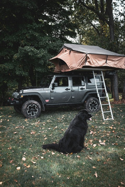 black crew cab pickup truck parked beside white and brown tent during daytime