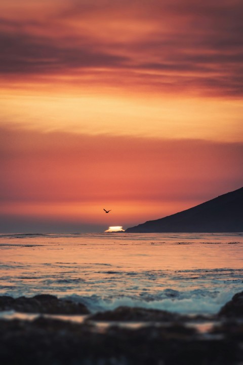 a bird flying over the ocean at sunset