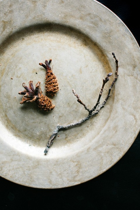 brown dried leaf on white round plate