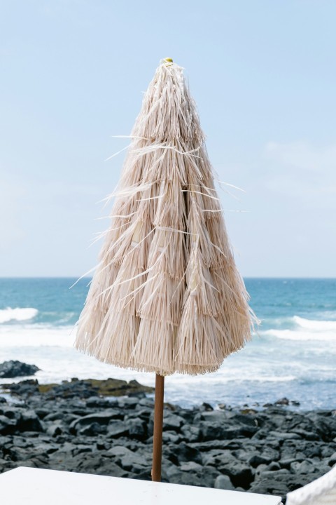 brown wooden stand on beach during daytime