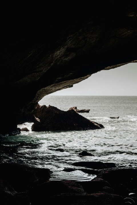 photography of seashore during daytime