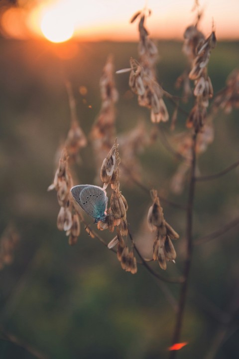 a group of insects on a branch