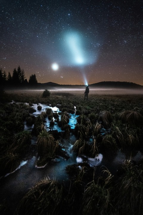 people walking on brown field during night time