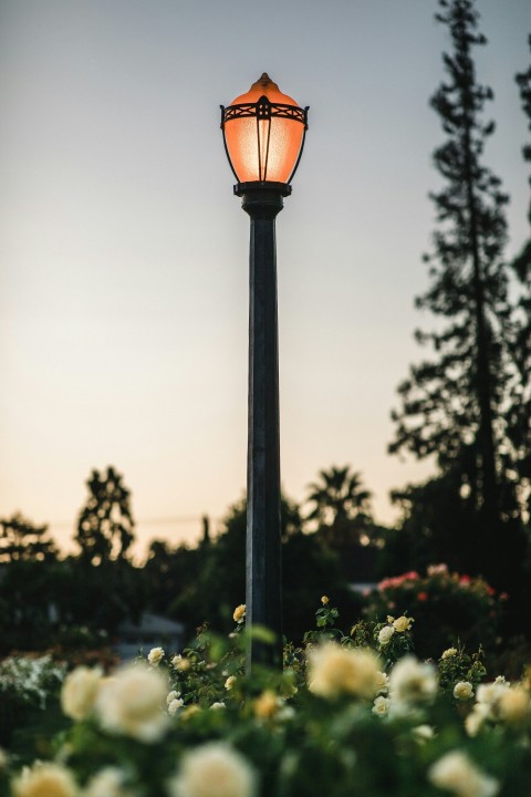 black street lamp