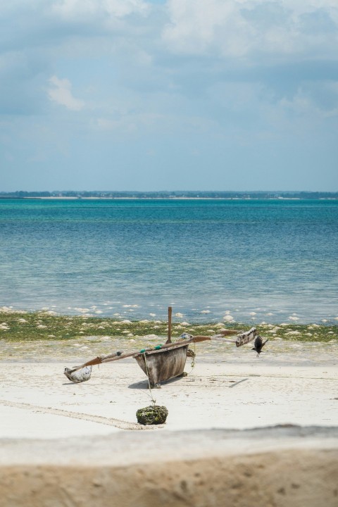 brown boat on seashore during daytime