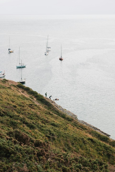 a group of boats in the water