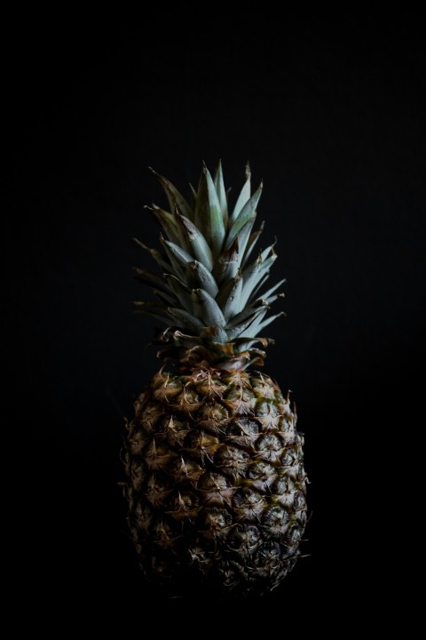 pineapple fruit 37