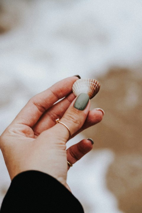 person holding white and gray stone