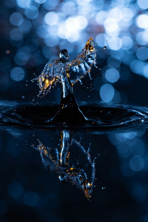 water drop on water in close up photography