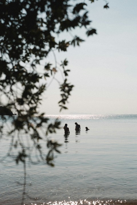 a couple of people are in the water