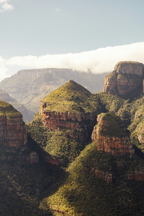 a large rock cliff with trees on it