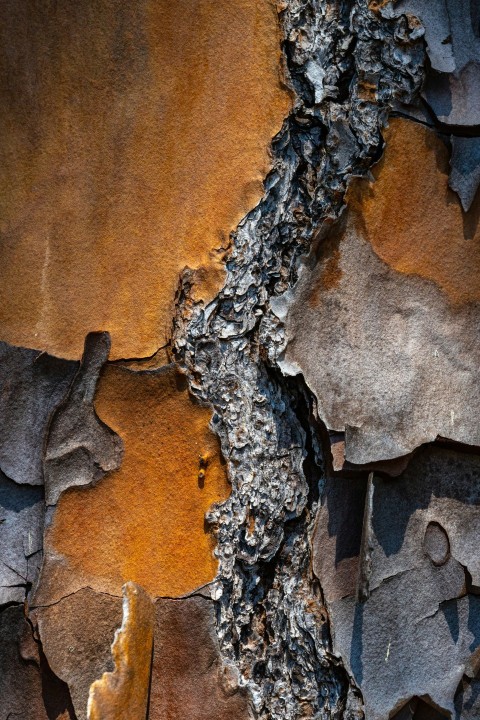 white and brown stone fragment