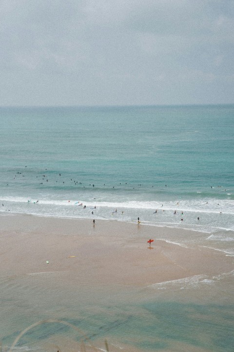 a group of people standing on top of a sandy beach