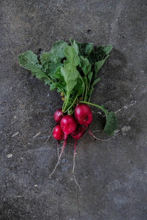 round pink vegetable