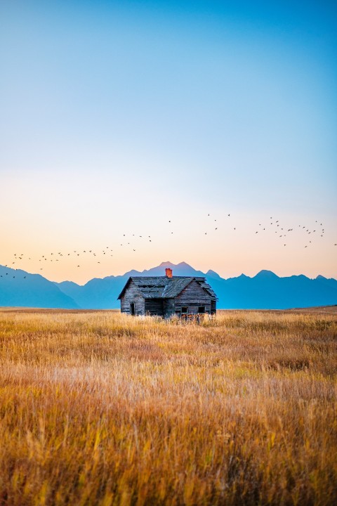 brown wooden house on brown grass field during daytime peUCb16I