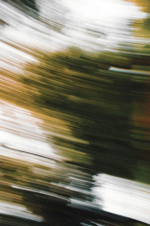 a blurry photo of a tree with a snowboard in the foreground