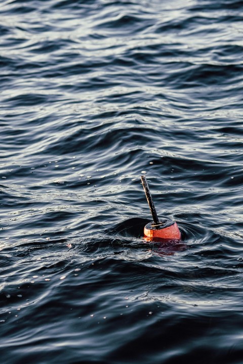 orange fixture floating on body of water during daytime