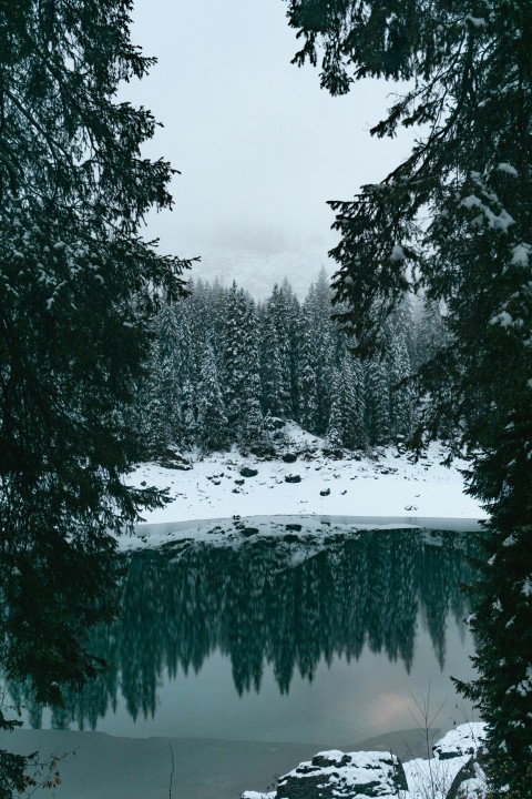 a lake surrounded by snow covered trees in a forest 0rIo3NF