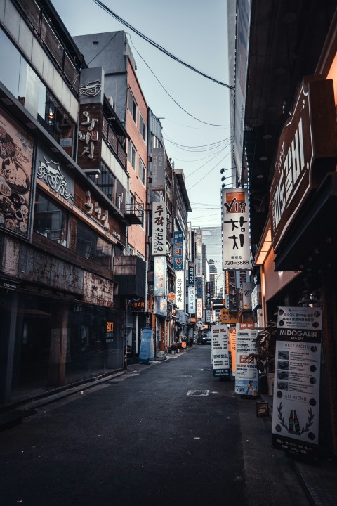 people walking on street between buildings during daytime