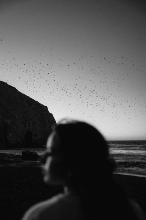 a black and white photo of a person on a beach