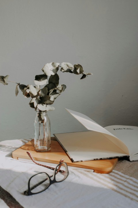 white moth orchids in clear glass vase