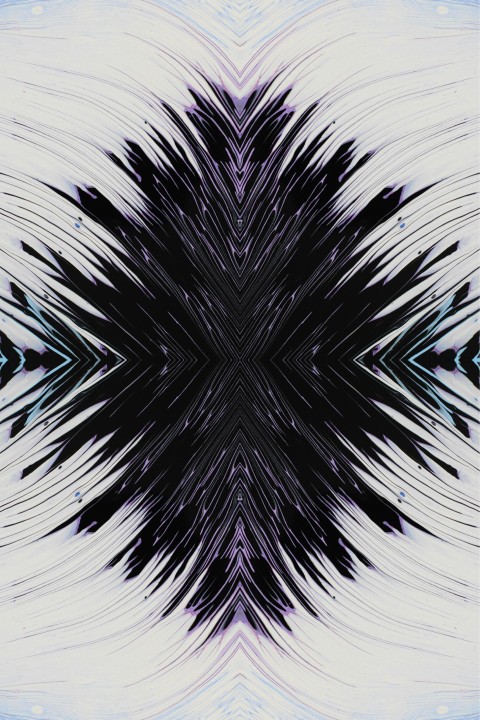 a black and white abstract design on a white background