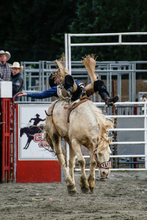 man riding horse