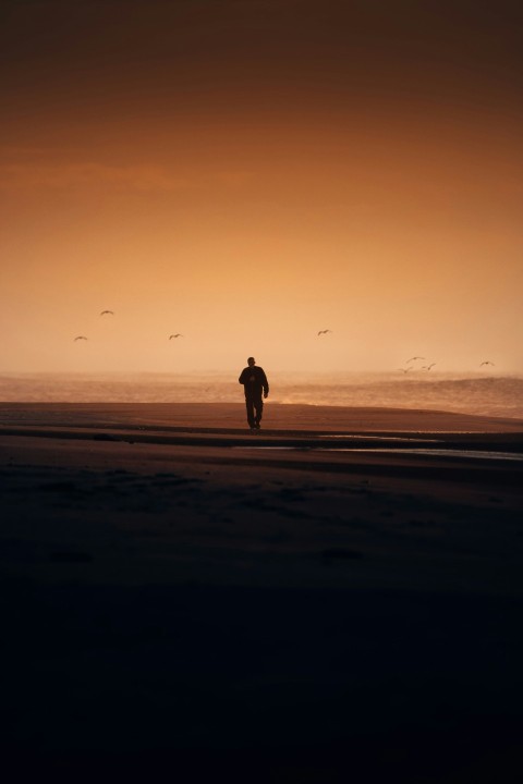 a person walking on a beach at sunset