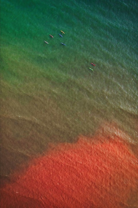 a group of people riding surfboards on top of a body of water