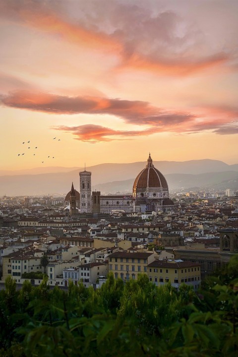 aerial view of city during sunset