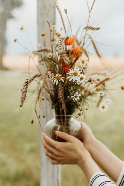 person holding of pot of white and orange petaled flowers