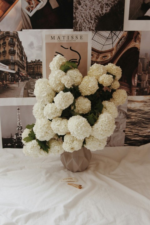 white flowers on white textile  Wl3